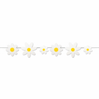 Daisies Set