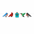 Backyard Birds Set