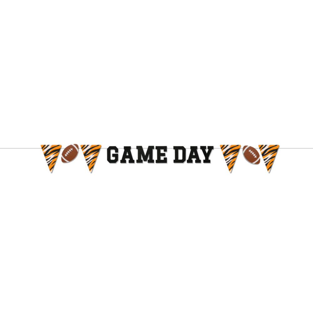 Game Day Football Set