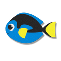 Coastal blue tang