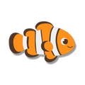 Coastal clown fish 