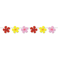 Coastal hibiscus set