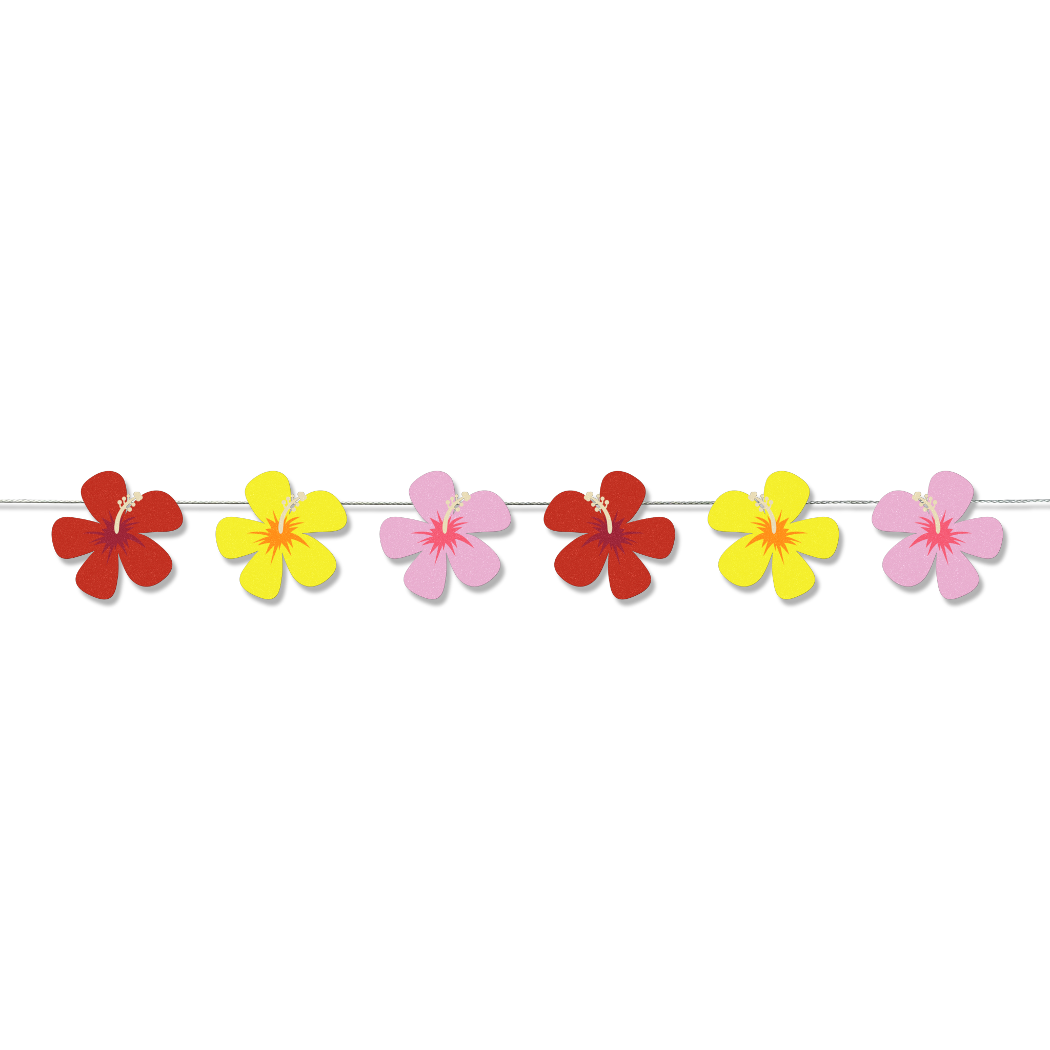 Coastal hibiscus set