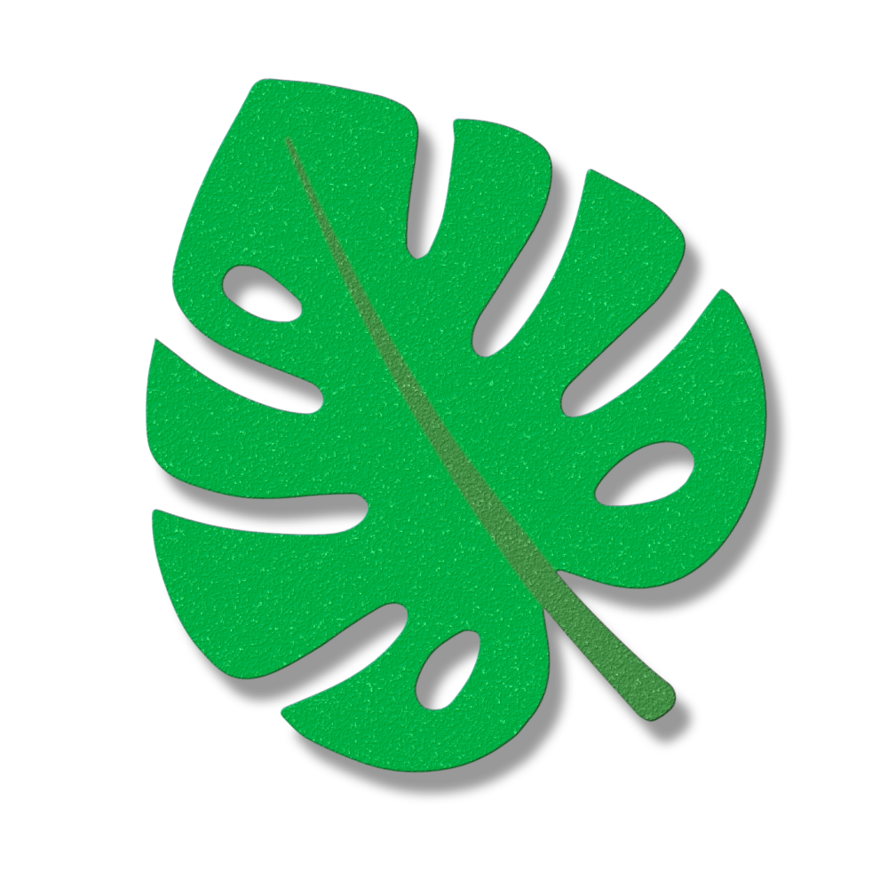Coastal monstera