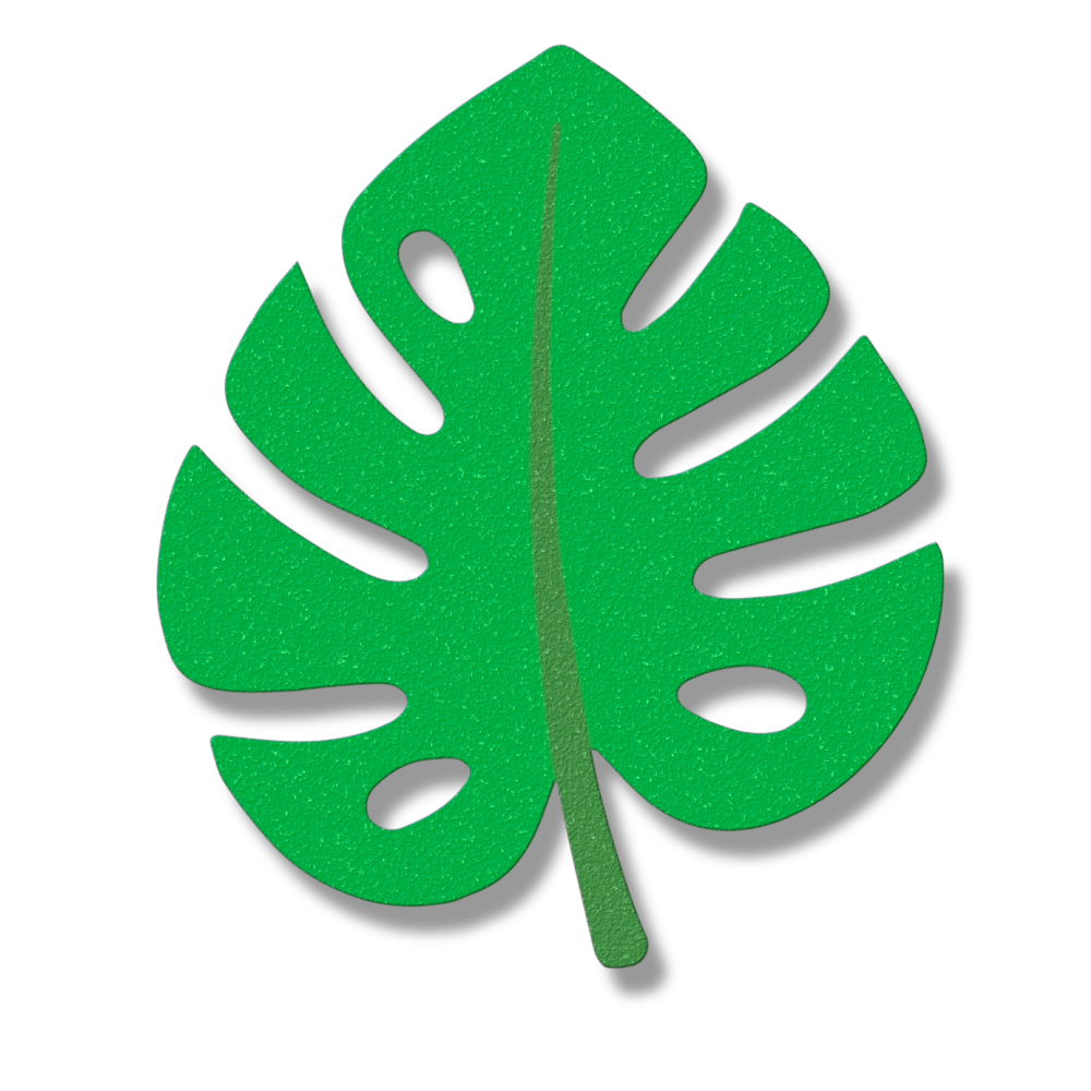 Coastal monstera