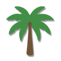 Coastal palm tree 