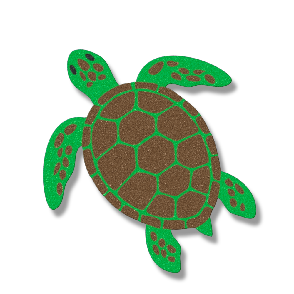 Coastal turtle