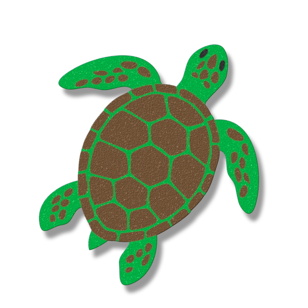 Coastal turtle