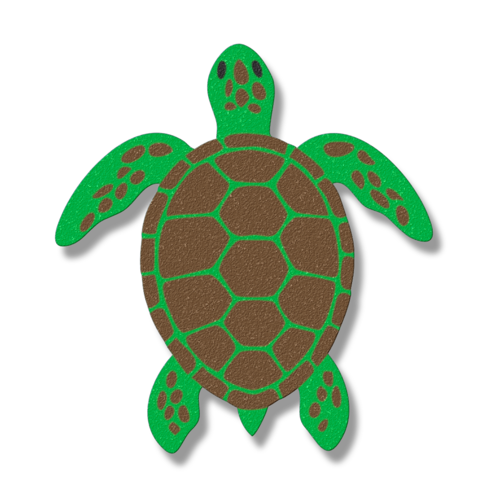 Coastal turtle