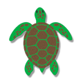 Coastal turtle