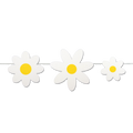 Daisies Set