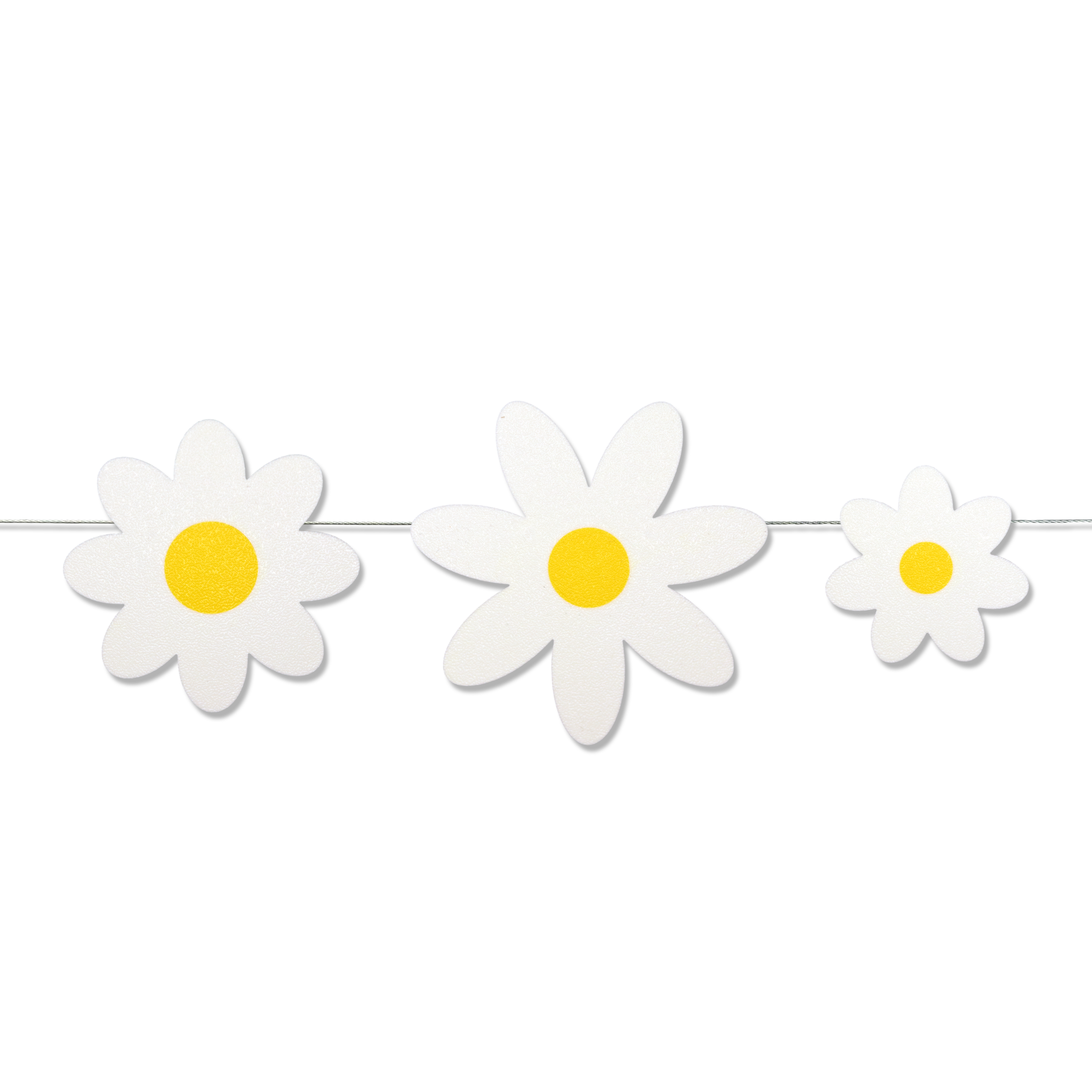 Daisies Set
