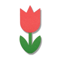 Tulip