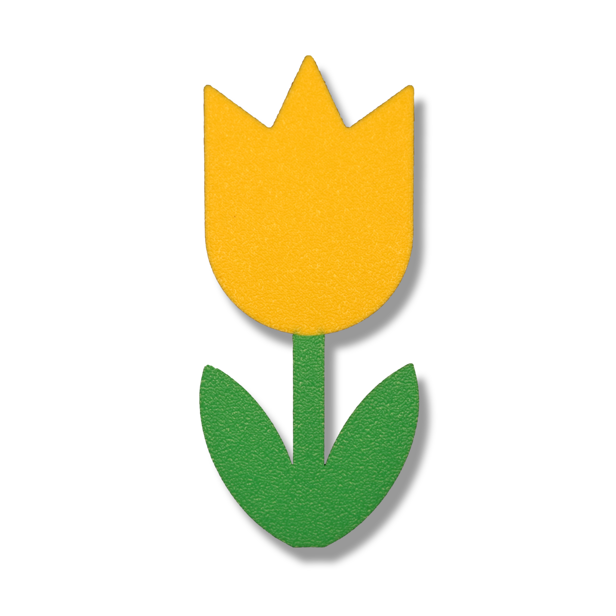 Tulip