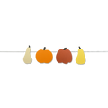 Fall Gourds Set