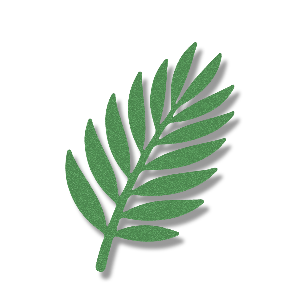 Palm Leaf