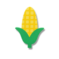 Corn Ear