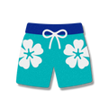 Swim Trunks