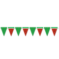 Watermelon Pennants Set
